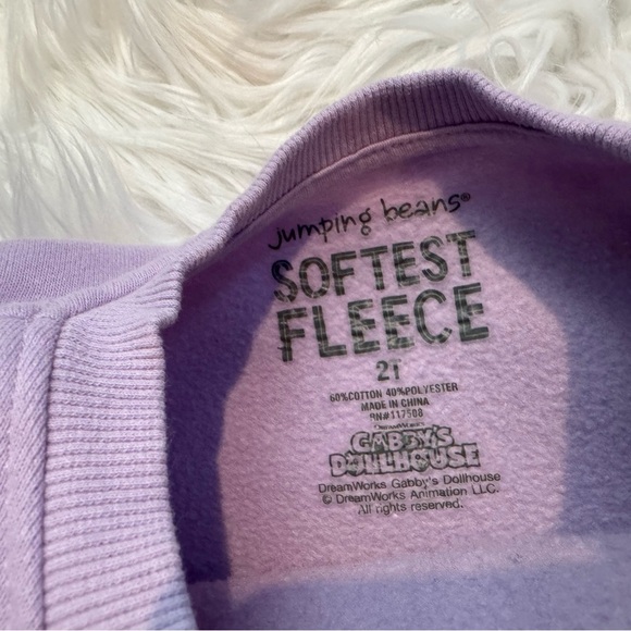 Lot of 3 Jumping Beans Disney Princess Gabby’s Dollhouse Sweatshirts Toddler 2T - Picture 12 of 13